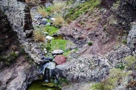 Casas Galloway Anaga Misteriosa Y Magica El Bailadero Exteriör bild